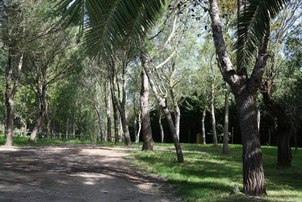 Station touristique Y Glamping Sidonia Medina-Sidonia