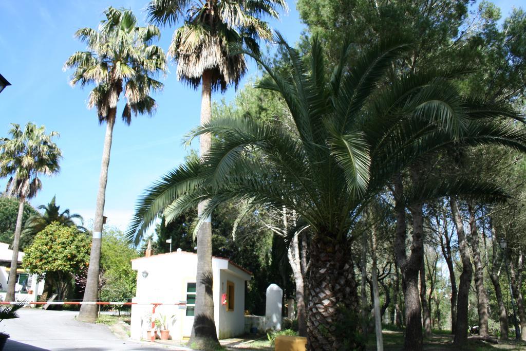 Y Glamping Sidonia